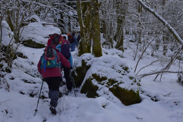 les vosges _016w-e raquettes 2022